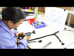 Customized  Wiring Harness